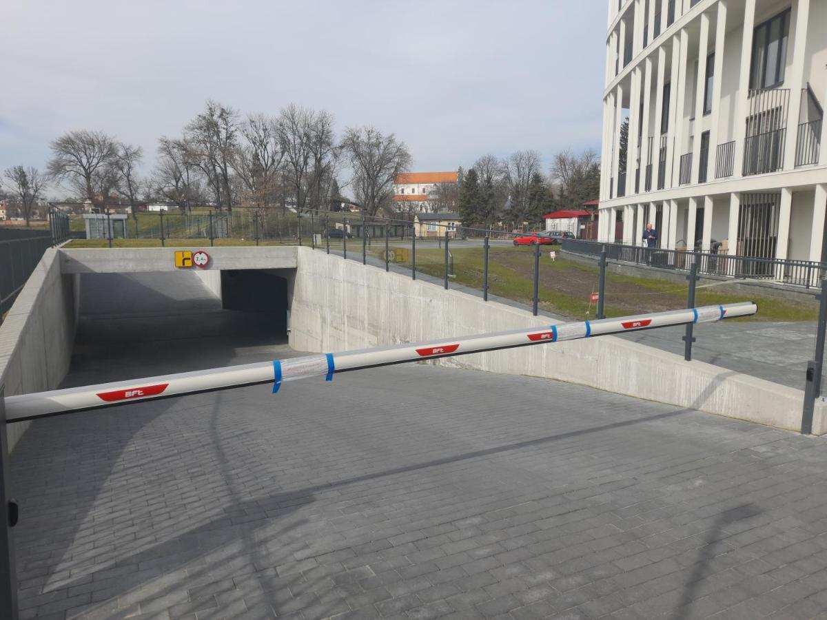 Amelia Zamosc (Lublin)